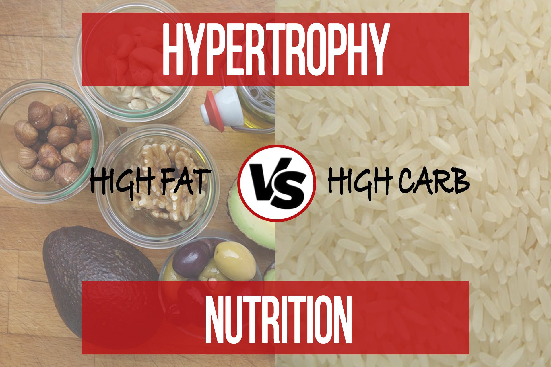 High Fat VS High Carb For Hypertrophy - N1 Training